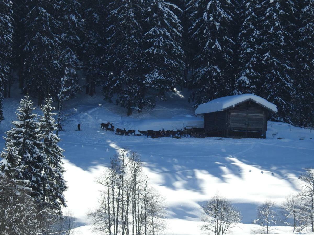 Apartmán Blockhaus Ganschitter Grossarl Exteriér fotografie